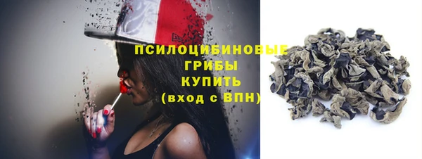 дмт Новокубанск