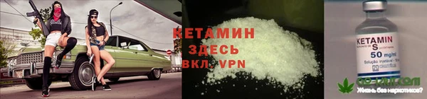 дмт Новокубанск