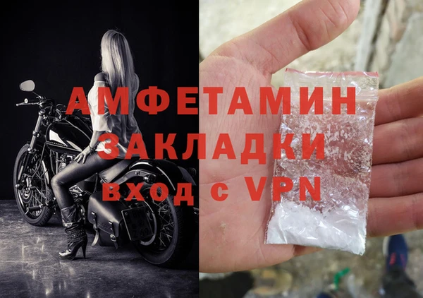 ПСИЛОЦИБИНОВЫЕ ГРИБЫ Няндома