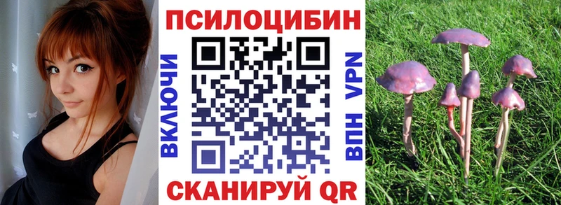 Псилоцибиновые грибы мухоморы  Починок 